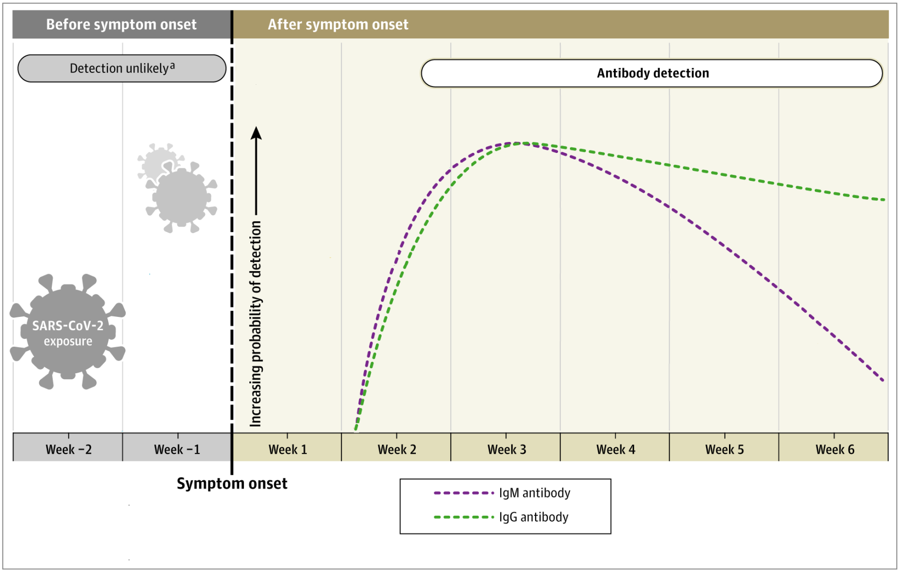 Antibody Testing Curve.jpg